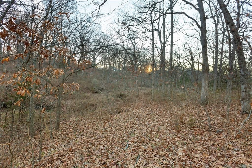38502 E Parrent Road — photo 31