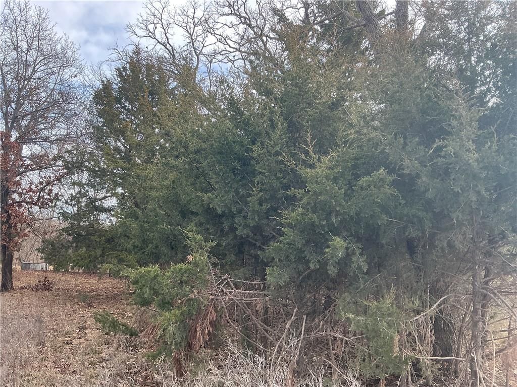 3197 Florida Road — photo 8