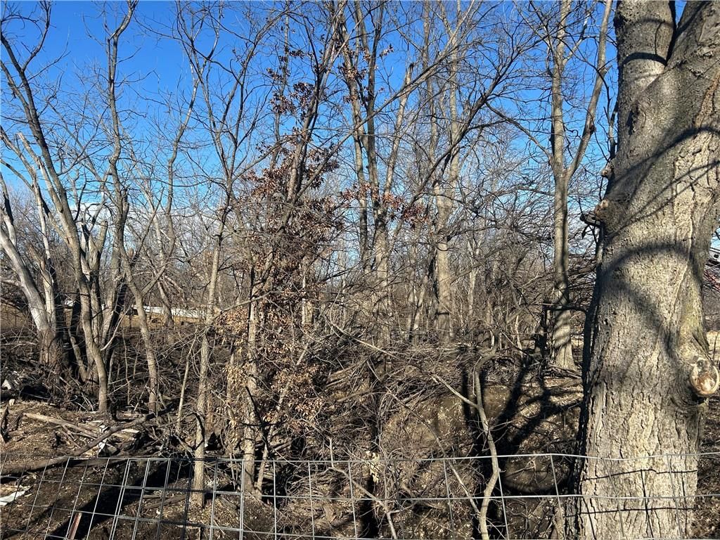 4258 State Highway O Rural Route — photo 15