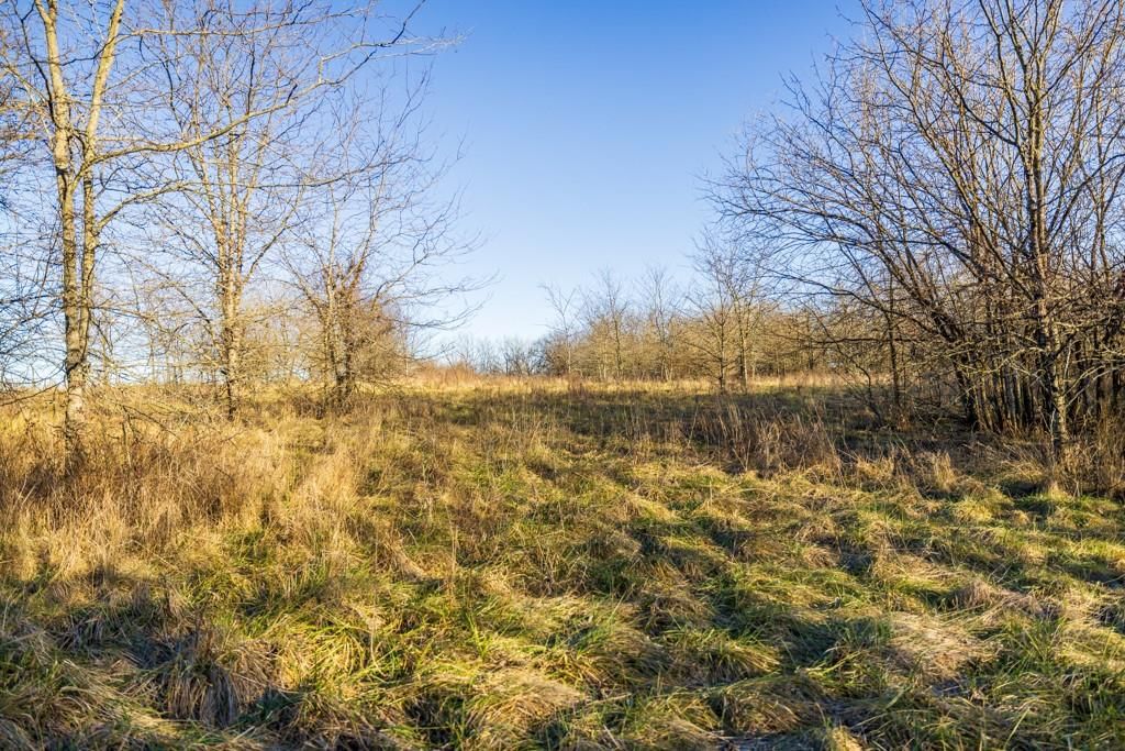 NE 231 Road — photo 30