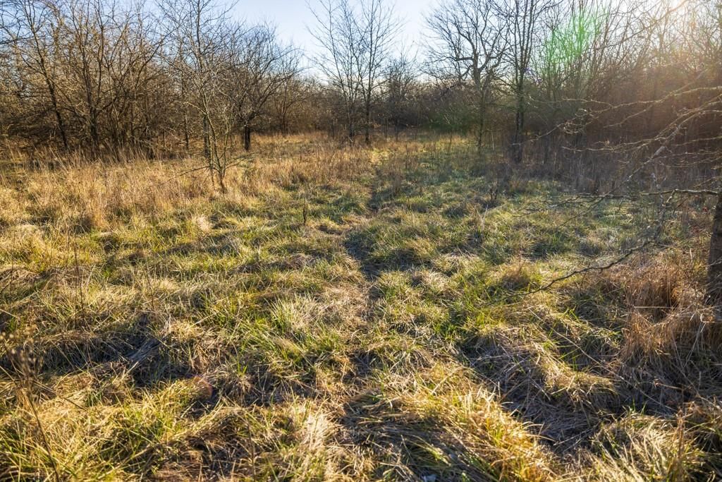 NE 231 Road — photo 31