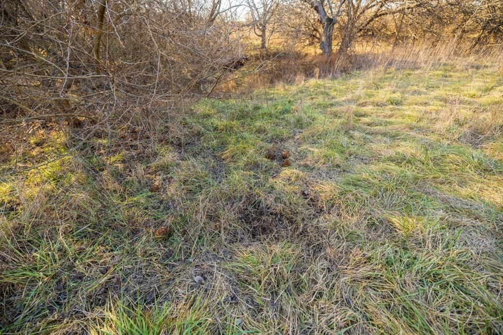 NE 231 Road — photo 38