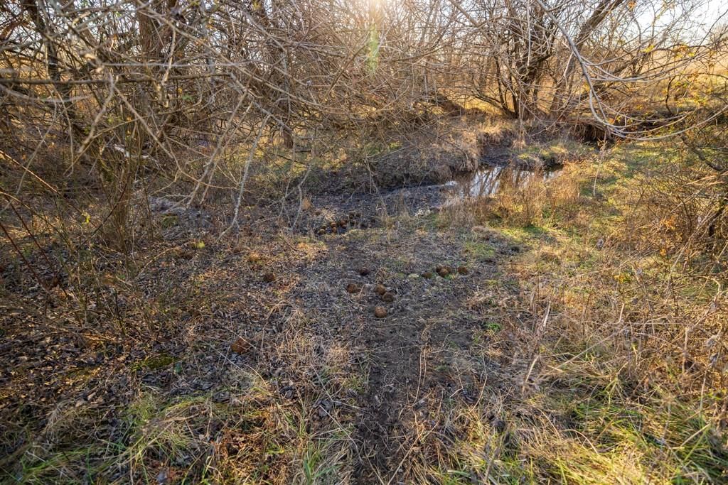 NE 231 Road — photo 39