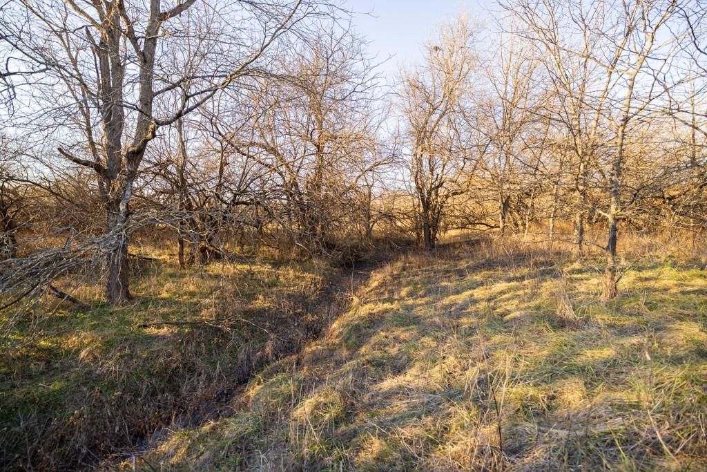 NE 231 Road — photo 43