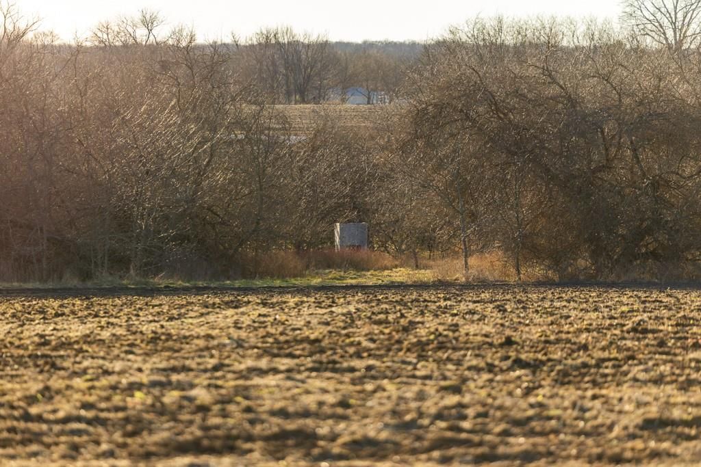 NE 231 Road — photo 54