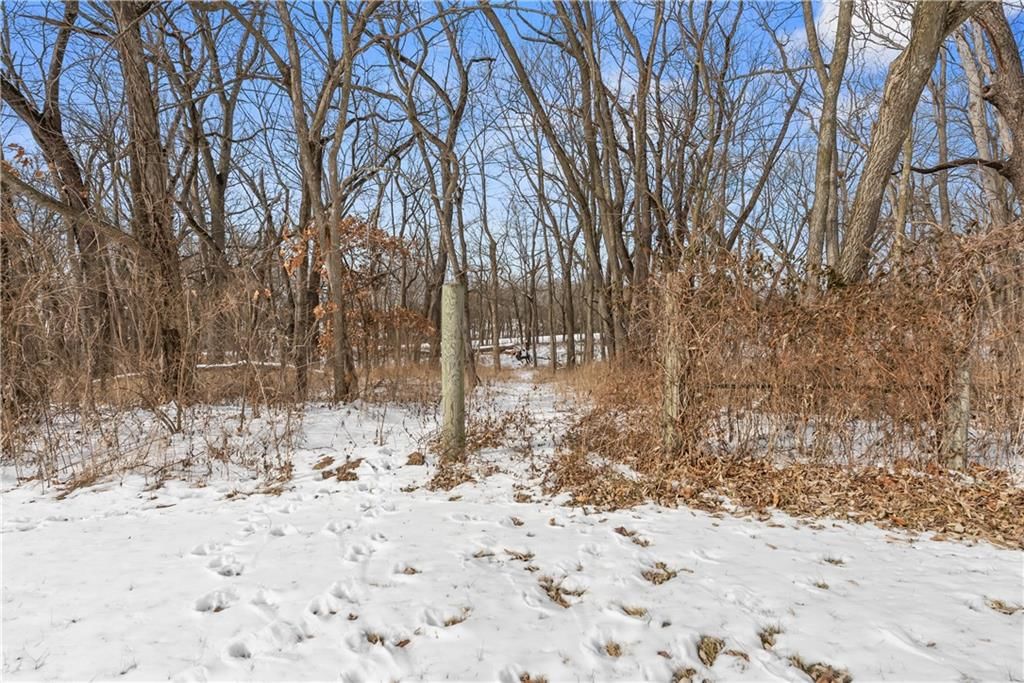 36406 E Old Pink Hill Road — photo 34