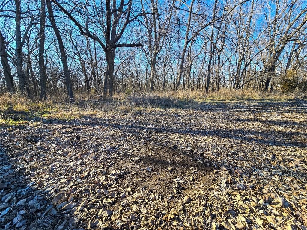 2000 Y Road — photo 3