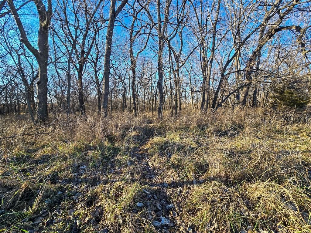 2000 Y Road — photo 4