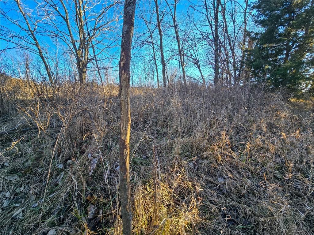 2000 Y Road — photo 7