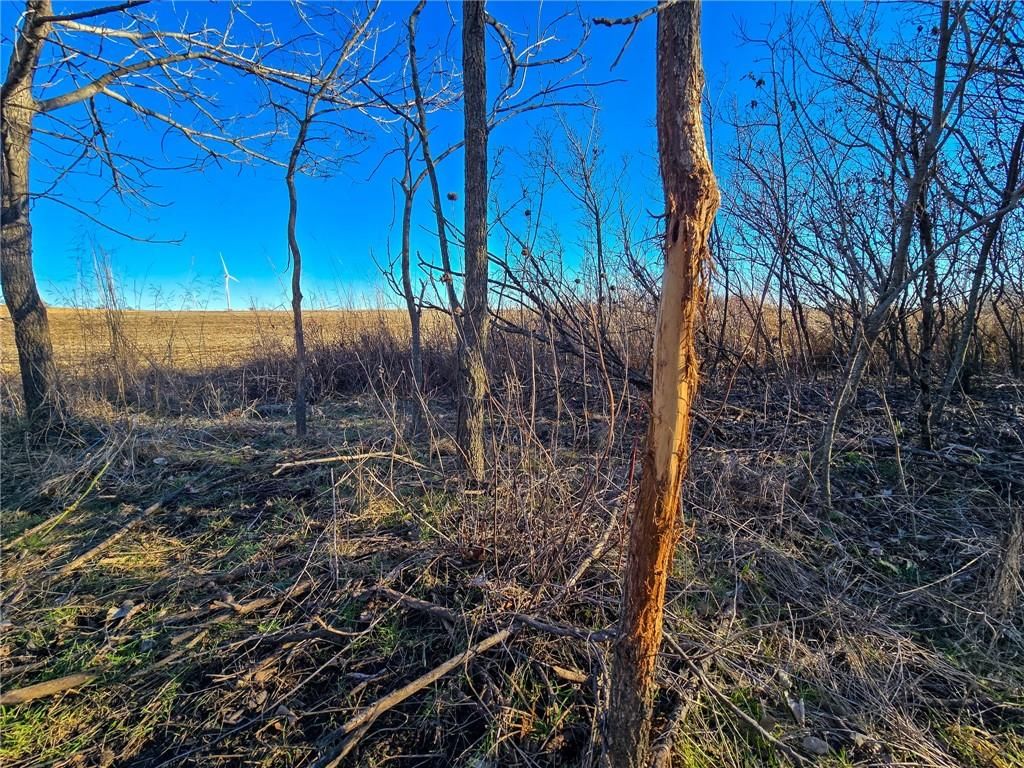 2000 Y Road — photo 10
