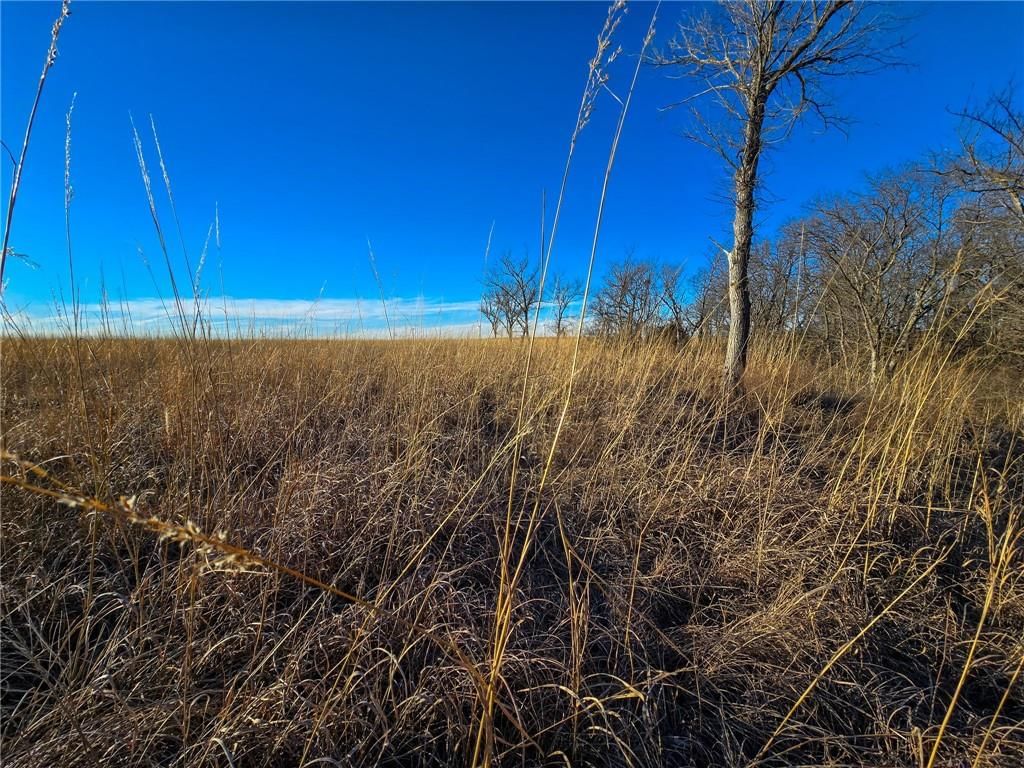 2000 Y Road — photo 28