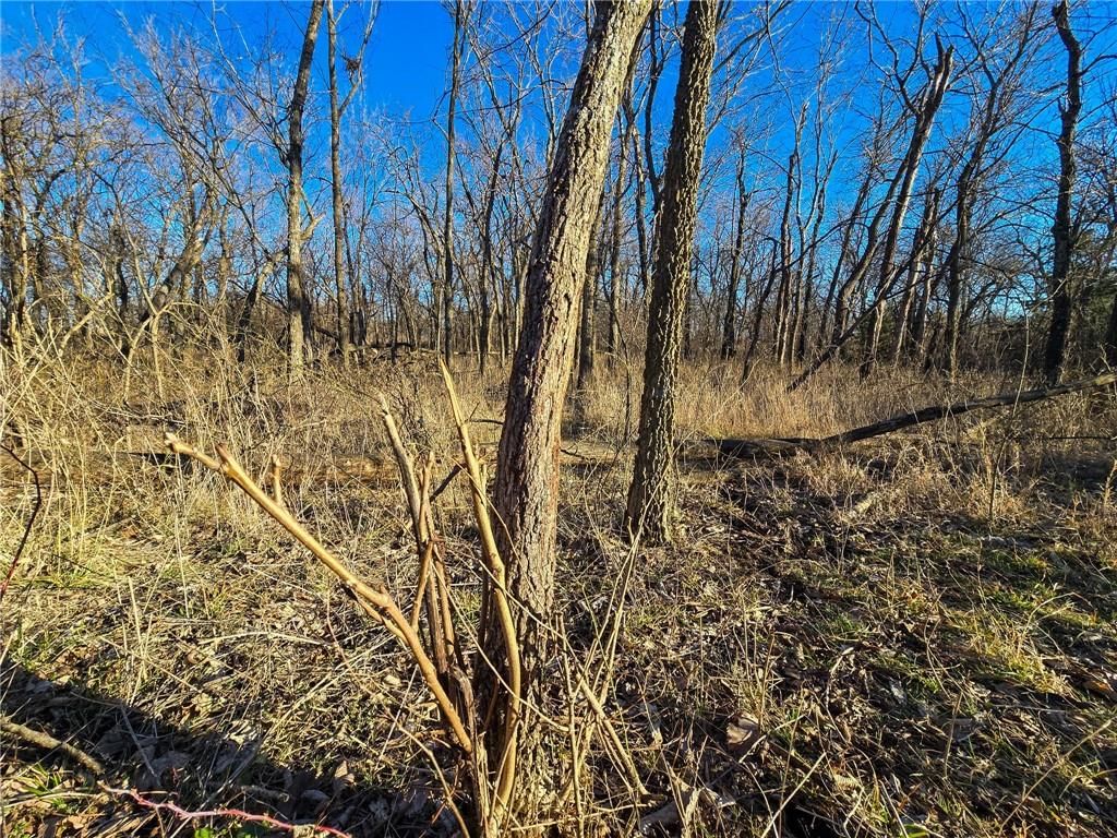 2000 Y Road — photo 29