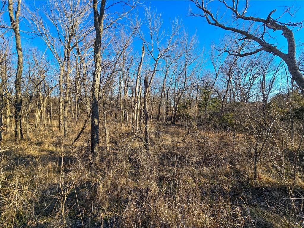 2000 Y Road — photo 31