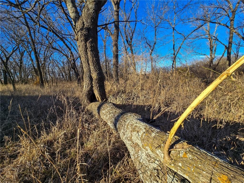 2000 Y Road — photo 34