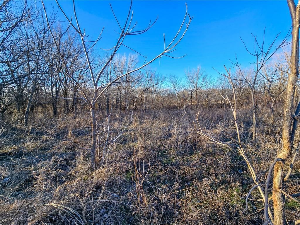 2000 Y Road — photo 36