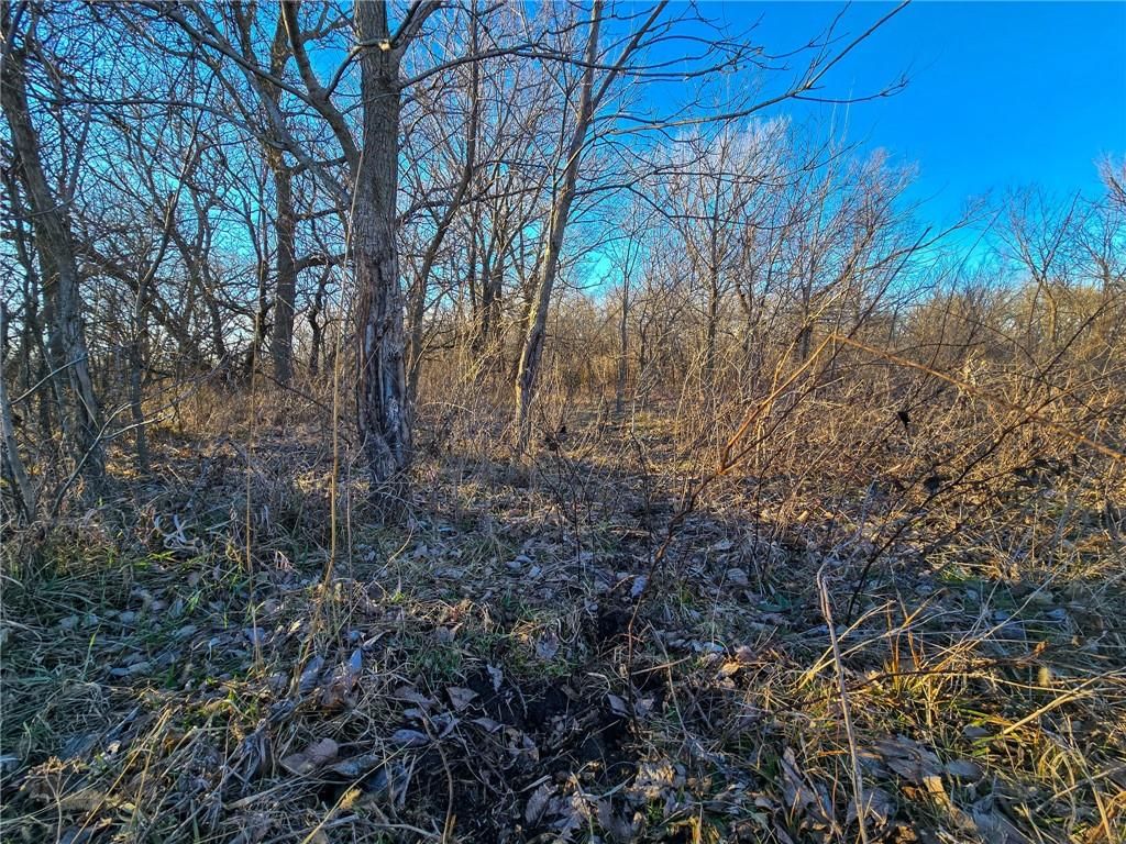 2000 Y Road — photo 37