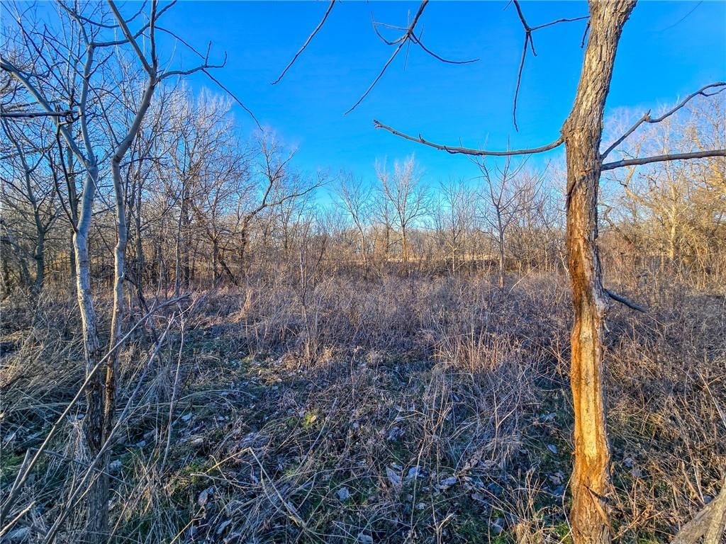 2000 Y Road — photo 38