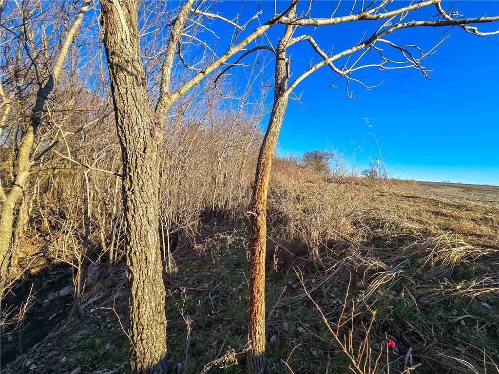 2000 Y Road — photo 41