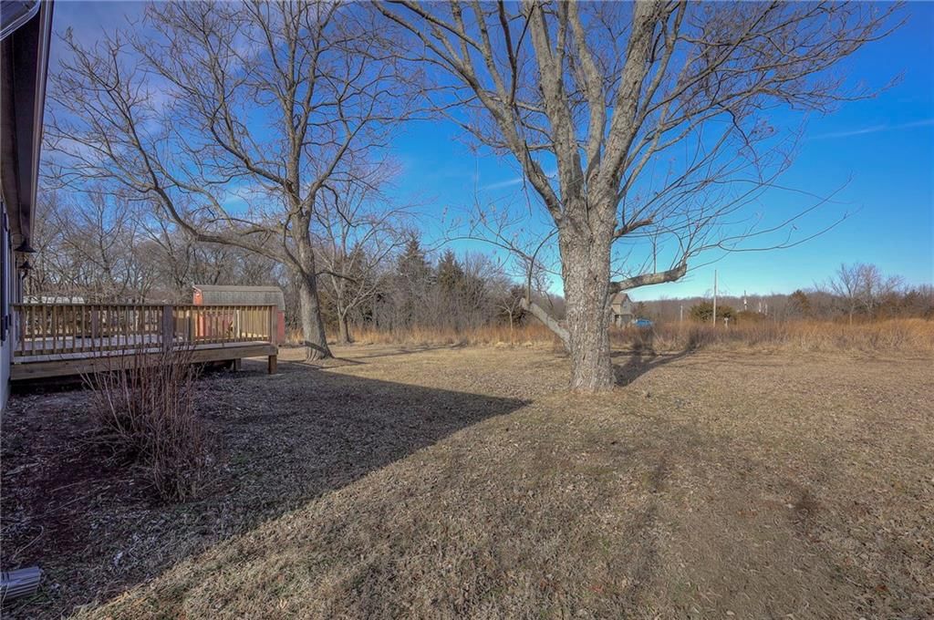 25 Newberry Drive — photo 33