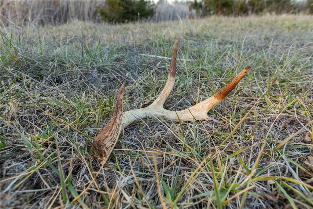 2530 Arkansas Terrace — photo 87