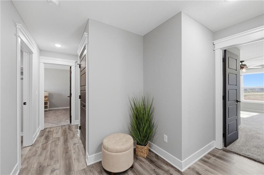 7901 Hoot Owl Street — photo 15