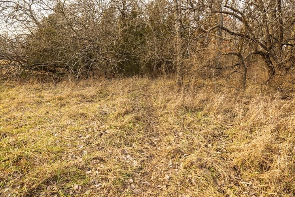 2365 John Brown Road — photo 34