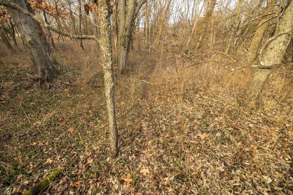 2365 John Brown Road — photo 35