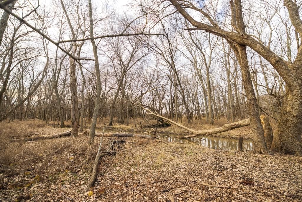 2365 John Brown Road — photo 41