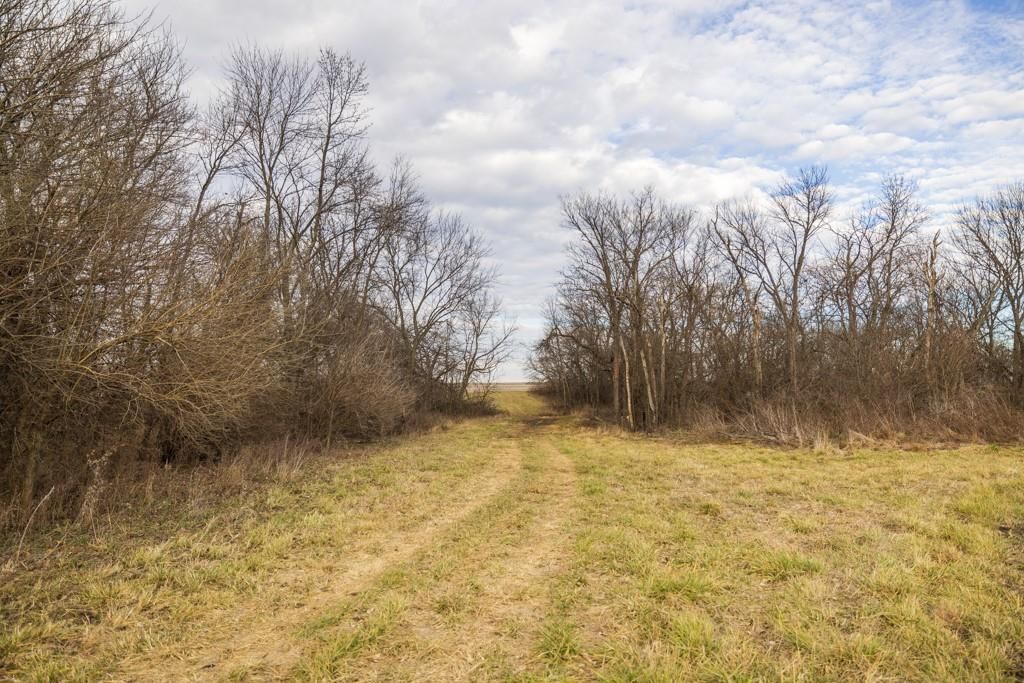 2365 John Brown Road — photo 42