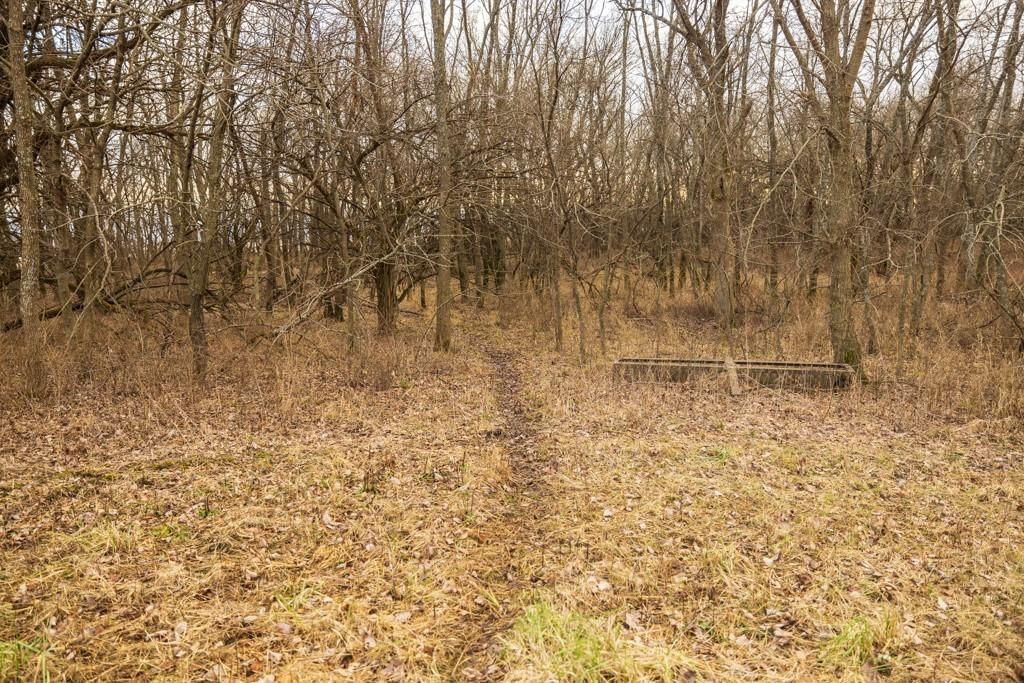 2365 John Brown Road — photo 44