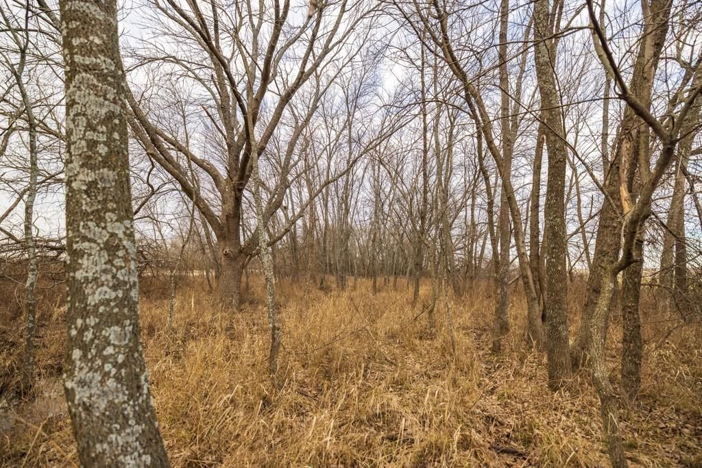 2365 John Brown Road — photo 45
