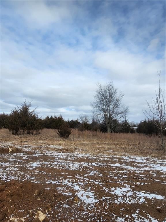 57 Maple Drive — photo 3