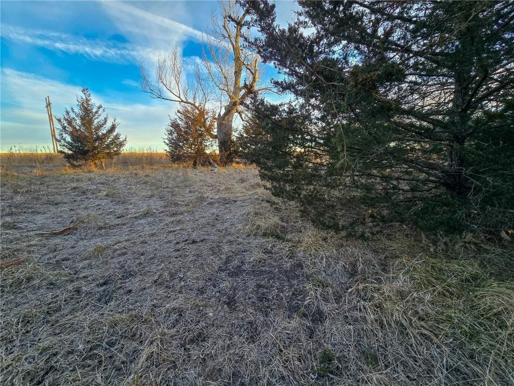 13013 Bradford Road — photo 15