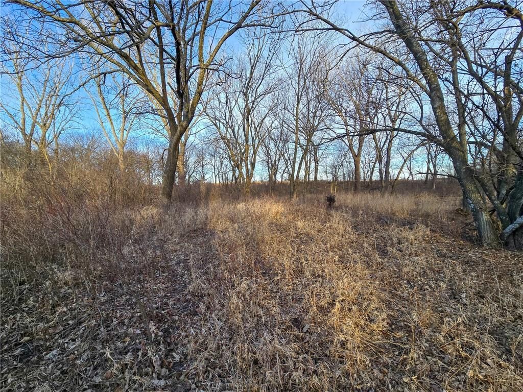 13013 Bradford Road — photo 24