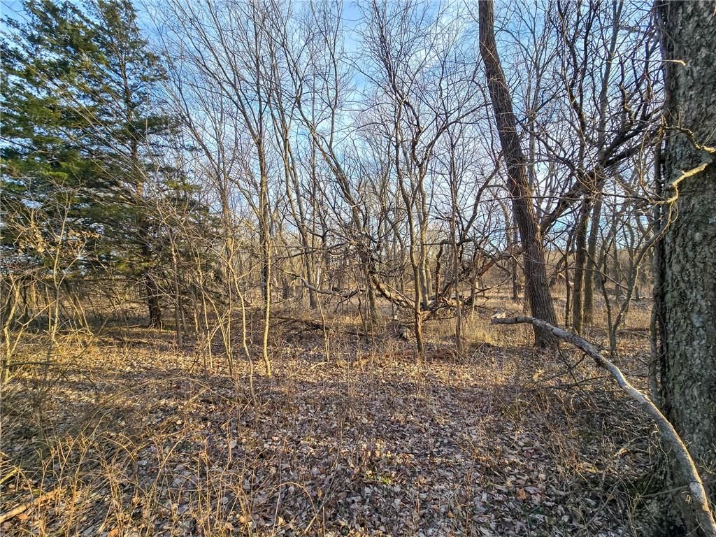 13013 Bradford Road — photo 28