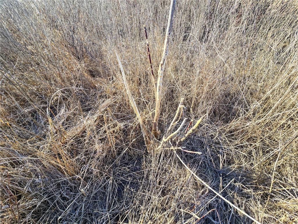 0000 Sodbuster Road Road — photo 10