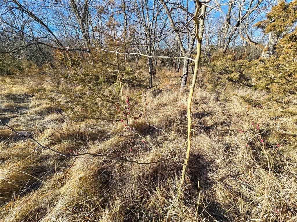 0000 Sodbuster Road Road — photo 14