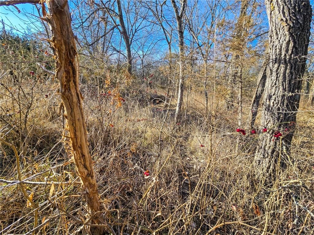 0000 Sodbuster Road Road — photo 15