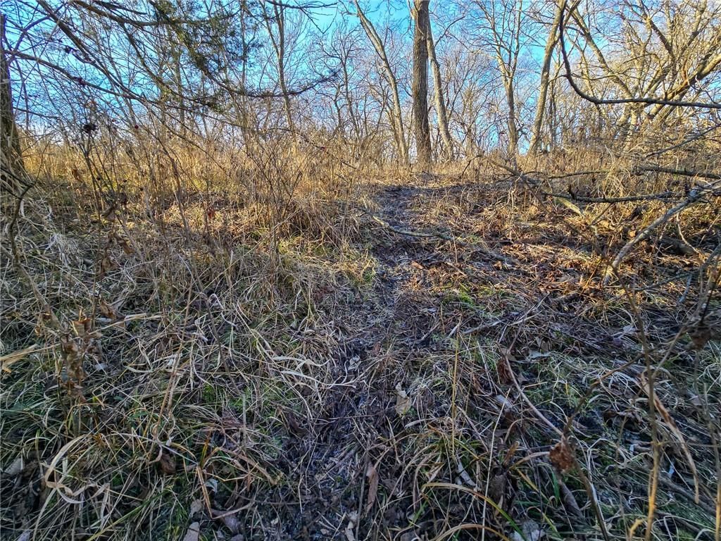 0000 Sodbuster Road Road — photo 16