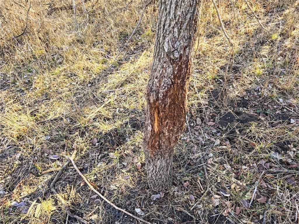 0000 Sodbuster Road Road — photo 18