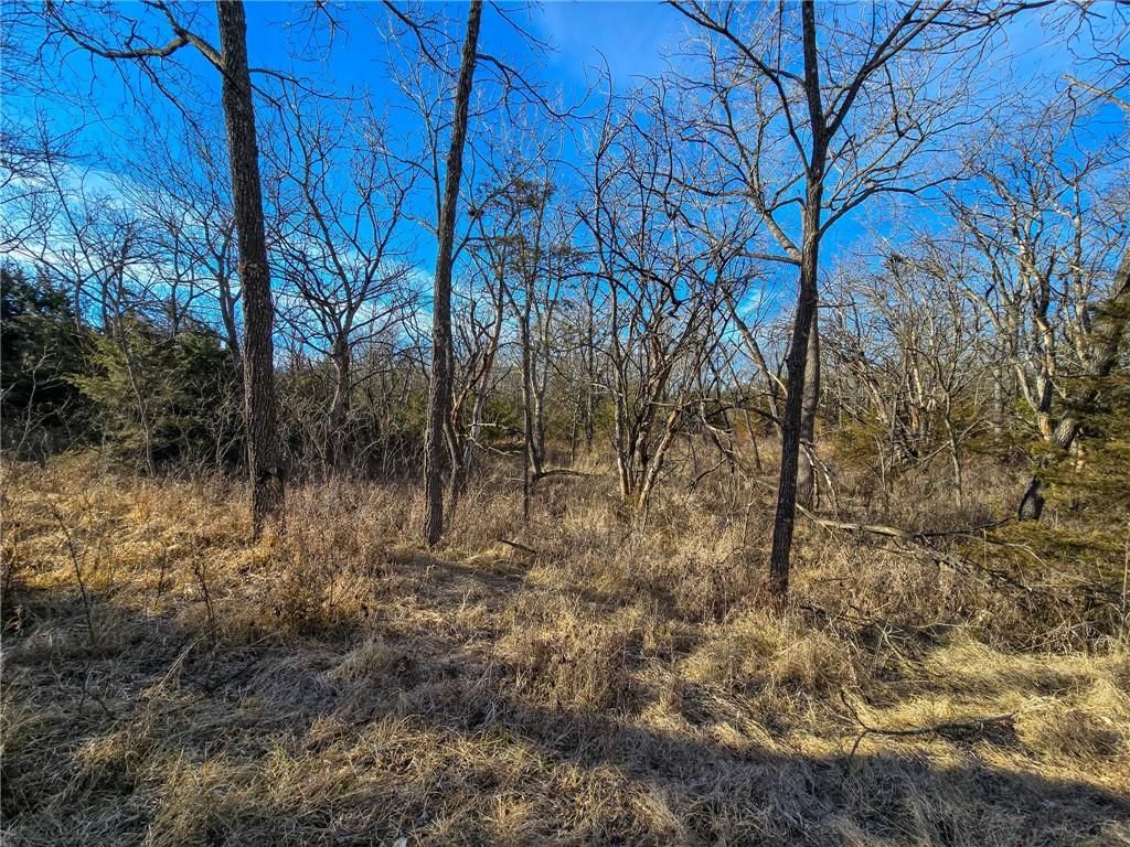 0000 Sodbuster Road Road — photo 19