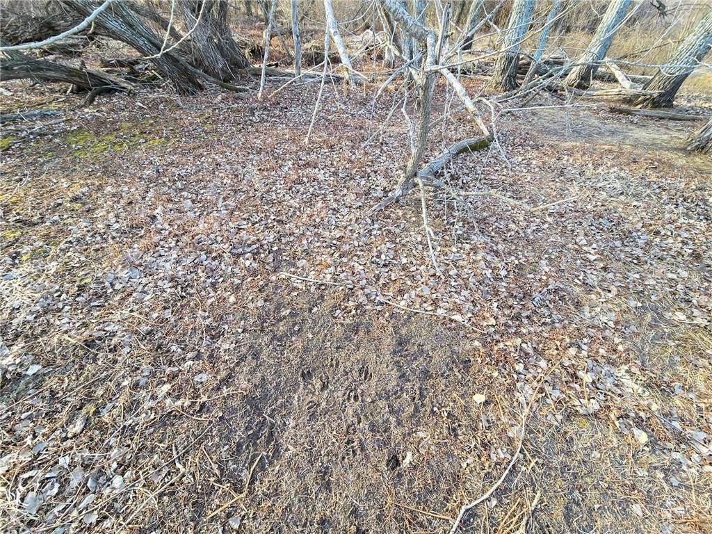 0000 Sodbuster Road Road — photo 25