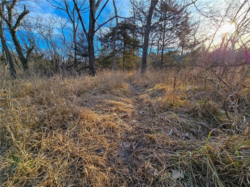 0000 Sodbuster Road Road — photo 27