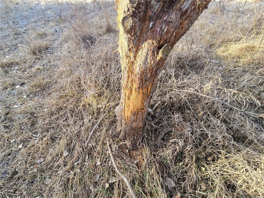 0000 Sodbuster Road Road — photo 28
