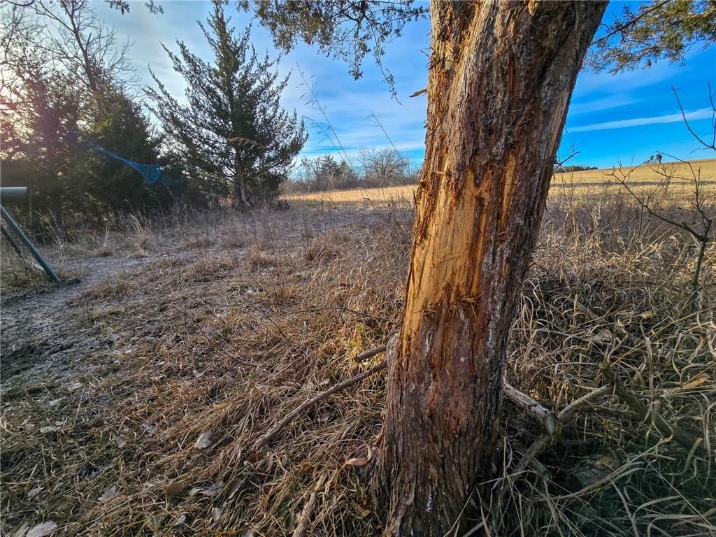 0000 Sodbuster Road Road — photo 29