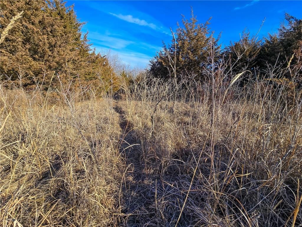 0000 Sodbuster Road Road — photo 42