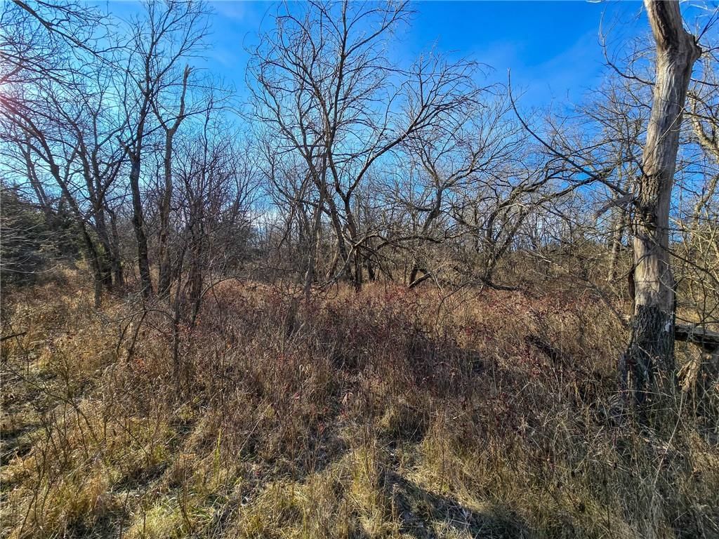 0000 Sodbuster Road Road — photo 45