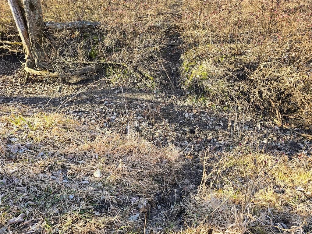 0000 Sodbuster Road Road — photo 46