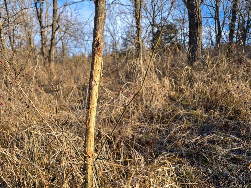 0000 Sodbuster Road Road — photo 47