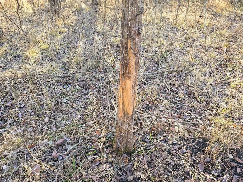 0000 Sodbuster Road Road — photo 48